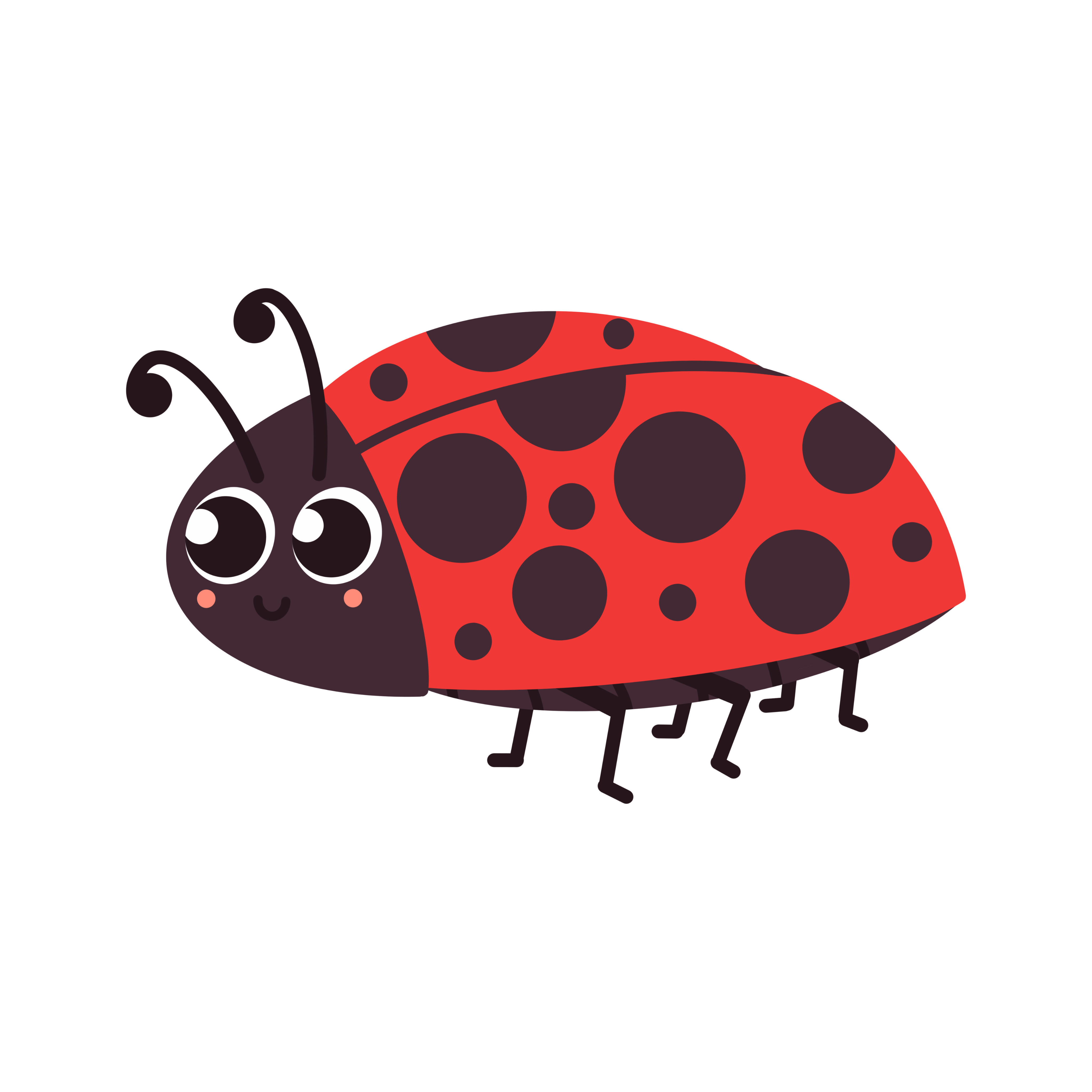 Graphic image of a friendly-looking Ladybird crawling along.
